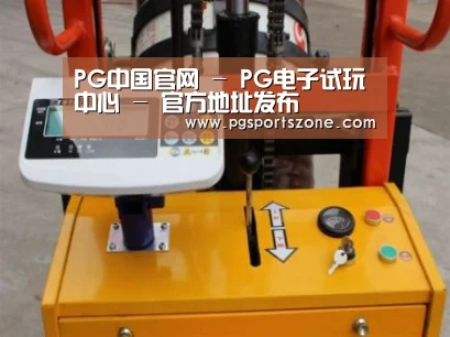 PG中国案例展示三