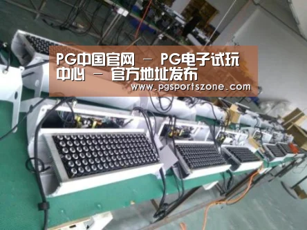 PG中国案例展示一