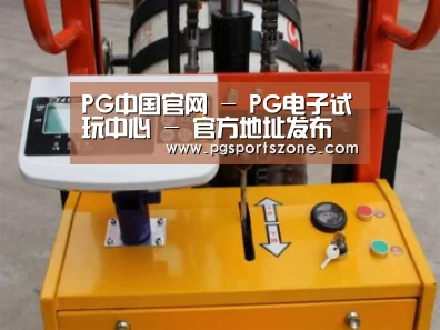 PG中国案例展示三(图1)